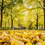 Laudensacks Parkhotel & Retreat 4* Bad Kissingen