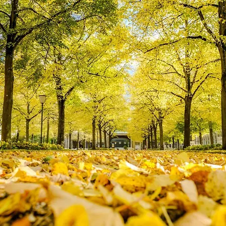 Laudensacks Parkhotel & Retreat 4* 바트키싱엔